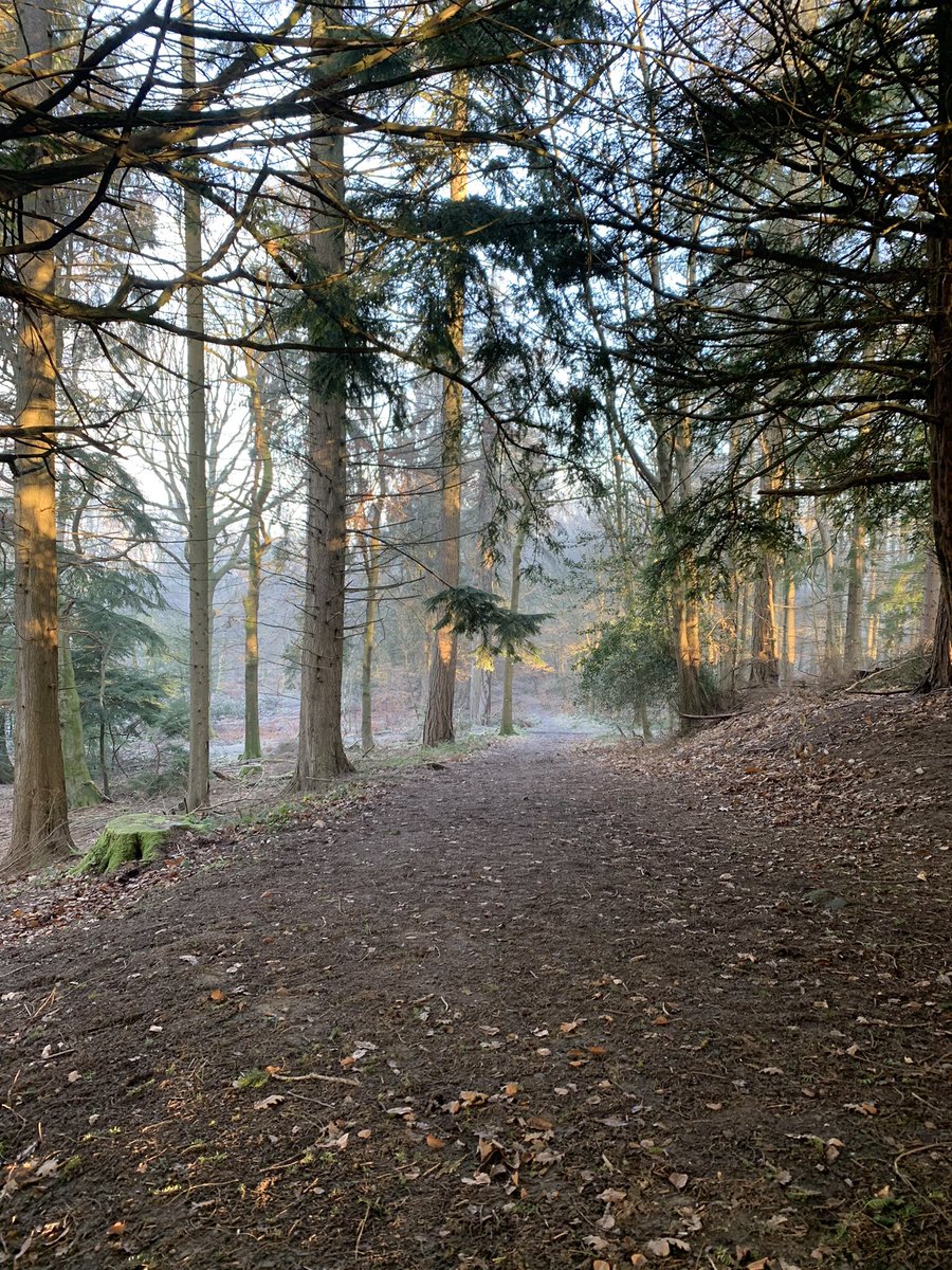 Deanfield Guest Accommodation tweet media