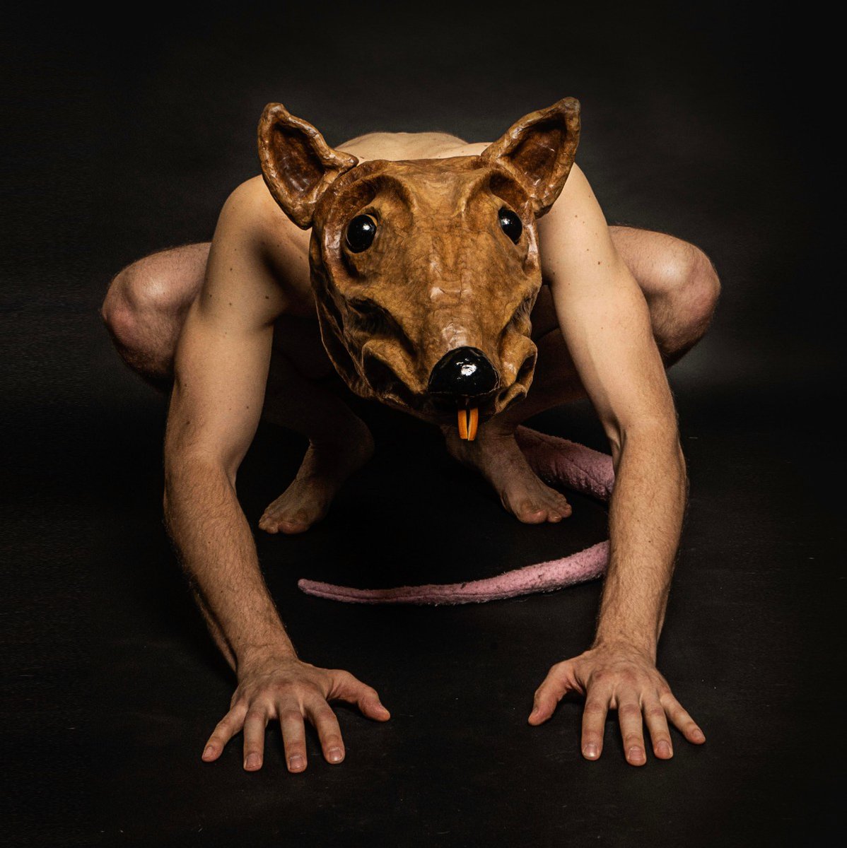 HauntingNet's tweet image. Welcome to #Eschaton, a maze of rooms featuring dozens of NYC’s finest performers. Check out our previous review on #HauntingNet then grab tickets for their upcoming #ImmersiveEvent on January 16th.
haunting.net/eschaton-revie…