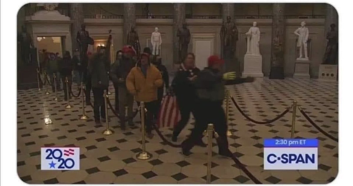 TalkToTiramisu's tweet photo. Hmmmm rioters staying within the red ropes https://t.co/KiRrDnxciG