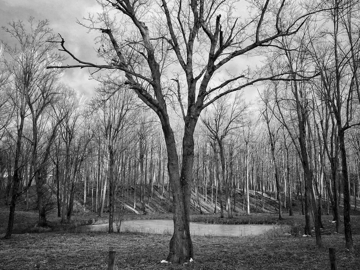 RichardBeaven's tweet photo. @FlakPhoto https://t.co/iGkjuWFpNb