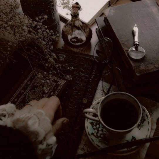 CambrieBennett's tweet photo. My favorite dark academia mood pics right now. https://t.co/1HAn58G5HO