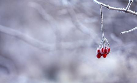 HelpWithRedTape's tweet photo. GUESS the WORD &amp; Contact Us for Prizes! Series 69 next..
1st letter of each Tweet Title (in a Series) spells a business word - spelt correctly or jumbled. Series 68 spelt L-O-V-E = #LOVE #businessSurvival #covidRecovery #seedsOfChange #berries #nextGeneration #DontGiveUp #redTape https://t.co/EO9ez3fcNP