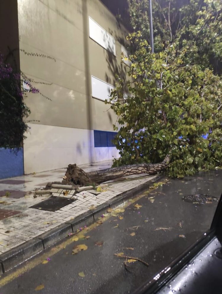 Ángel Herrera Diaz tweet media