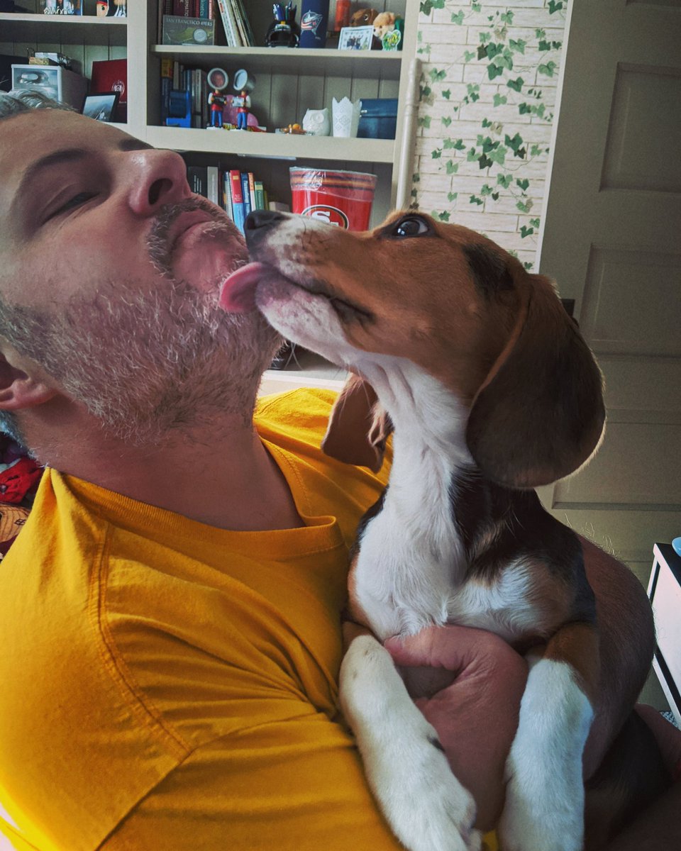 lynnwardlow's tweet photo. I don't know how you celebrate birthdays during quarantine but here we go... #betterhalf #mopuppies #lessproblems https://t.co/Plc9CNK7b4