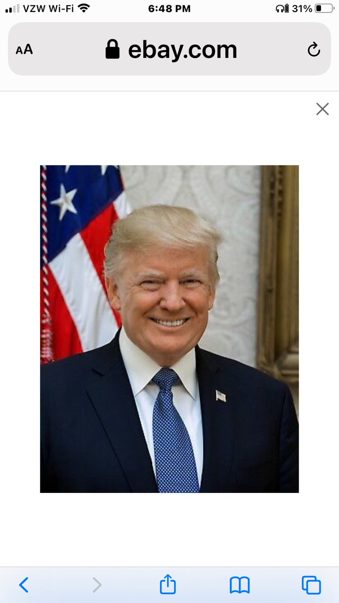 larrybraggs's tweet photo. THE CAT OF THE DAY. The Donald.  Stray cat! Kicked off Twitter, out on the street, no home for his little tweets; nervous and scared, with no one to turn to hear his meows. https://t.co/R4c1JEOIUU