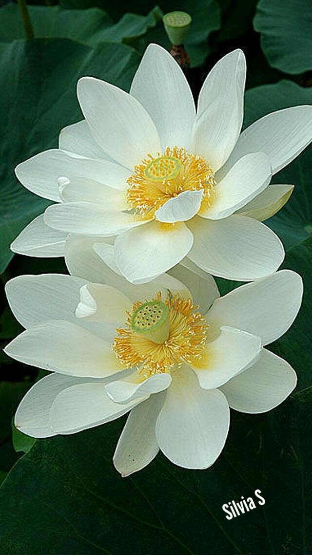 ❤️Silvia S ❤️Amo los 👒 (@silviasebille) on Twitter photo #BuenasNochesATodos🌟
Hasta mañana amigos ❤️
Los dejo pero mañana nos vemos..
Besos 💋
<a href="/eReferenceDesk/">#eReferenceDesk☞ Joe</a> <a href="/Rajendr76194898/">яąj ѵąя๓ą11372जहाँमे प्यारा है (मोदी का परिवार )</a> <a href="/luiseduya/">EDU ♋</a>
@PaulRossPR <a href="/robtropper/">Robert Tropper</a>
<a href="/SafdarDar8/">Safdar Dar</a> <a href="/0700586177muay1/">muayad</a>
<a href="/JuanSGE/">juan sebastian</a> <a href="/ArteSalvatoreVa/">Salvatore Vaccariello</a> <a href="/prrenico/">Phillip Renico</a> <a href="/Ryan_CaoDat/">Ryan_Cao 😊💖✌️</a>
<a href="/jorgema81716339/">jorge manuel</a>
<a href="/jlferguson50/">Joe ☞#eReferenceDesk</a> #BuenasNochesATodos🌟
Hasta mañana amigos ❤️
Los dejo pero mañana nos vemos..
Besos 💋
<a href="/eReferenceDesk/">#eReferenceDesk☞ Joe</a> <a href="/Rajendr76194898/">яąj ѵąя๓ą11372जहाँमे प्यारा है (मोदी का परिवार )</a> <a href="/luiseduya/">EDU ♋</a>
@PaulRossPR <a href="/robtropper/">Robert Tropper</a>
<a href="/SafdarDar8/">Safdar Dar</a> <a href="/0700586177muay1/">muayad</a>
<a href="/JuanSGE/">juan sebastian</a> <a href="/ArteSalvatoreVa/">Salvatore Vaccariello</a> <a href="/prrenico/">Phillip Renico</a> <a href="/Ryan_CaoDat/">Ryan_Cao 😊💖✌️</a>
<a href="/jorgema81716339/">jorge manuel</a>
<a href="/jlferguson50/">Joe ☞#eReferenceDesk</a>