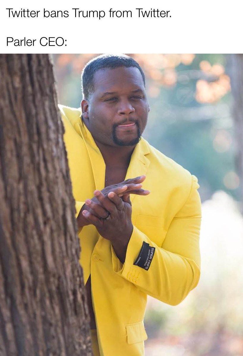 DMorph's tweet image. It only took 4 years. #oc #banned #SuspendTrumpsAccount