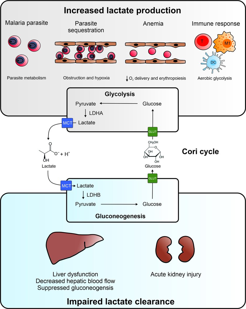 Plos Pathogens Plospathogens Twitter