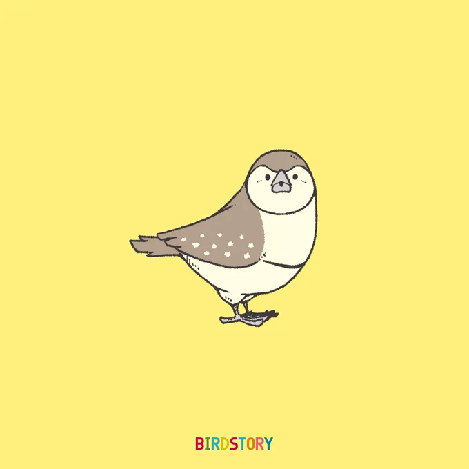おはようございます。
本日は1月9日、一休さんの語呂合わせから、とんちの日とのことです?
#BIRDSTORY 
#とんちの日 #カノコスズメ 