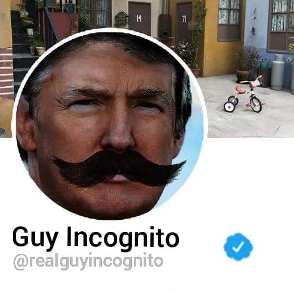 gratefuldude85's tweet photo. This mysterious man has just joined twitter. #notdonaldtrump #DonaldTrump #guyincognito https://t.co/h2oTMtNM0U