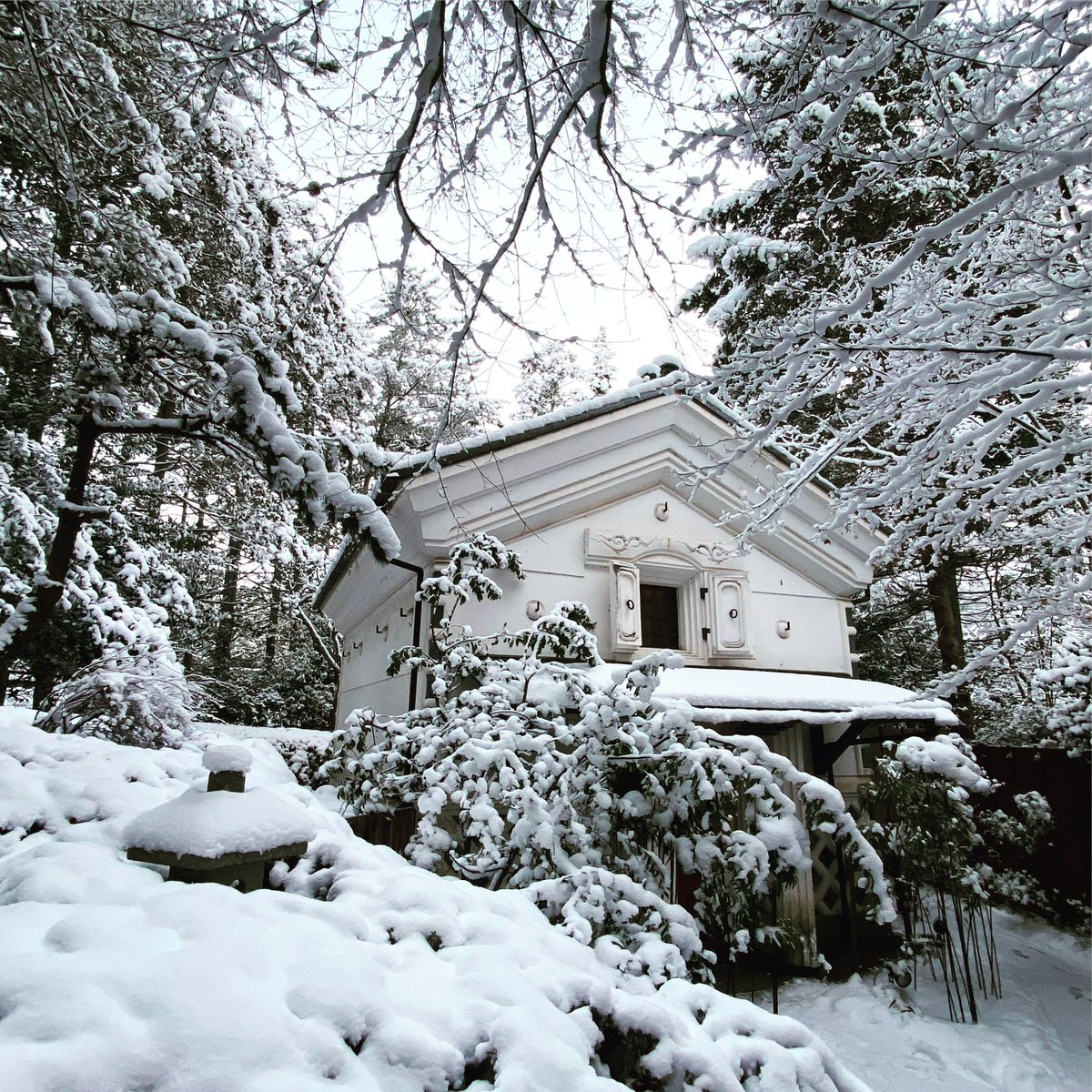 libisma's tweet photo. #snow in #akiu , #japan .
★今日の川柳( #中村草田男 オマージュ編)
降る雪や 未来は遠く なりにけり
#川柳 #降る雪や明治は遠くなりにけり #二次創作 #二次創作川柳 #雪 #秋保温泉 #パロディ #未来 #本歌取り #winterinjapan #snowinjapan #japaninwinter #japaninsnow https://t.co/bULGih6fFu