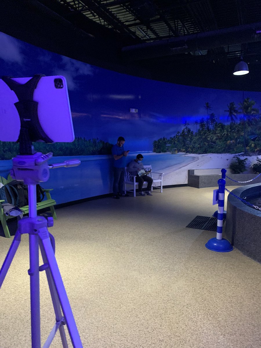 feguerl's tweet photo. Our first PHENOMenal Friday back from break! Thank you Via Aquarium and aquarist Julie for helping us better understand the Nitrogen cycle! Our 9th grade biology students learned about maintaining an aquarium and how to become an aquarist. @SCSchools #PHENOMenalFriday https://t.co/JWOp1bKE6M