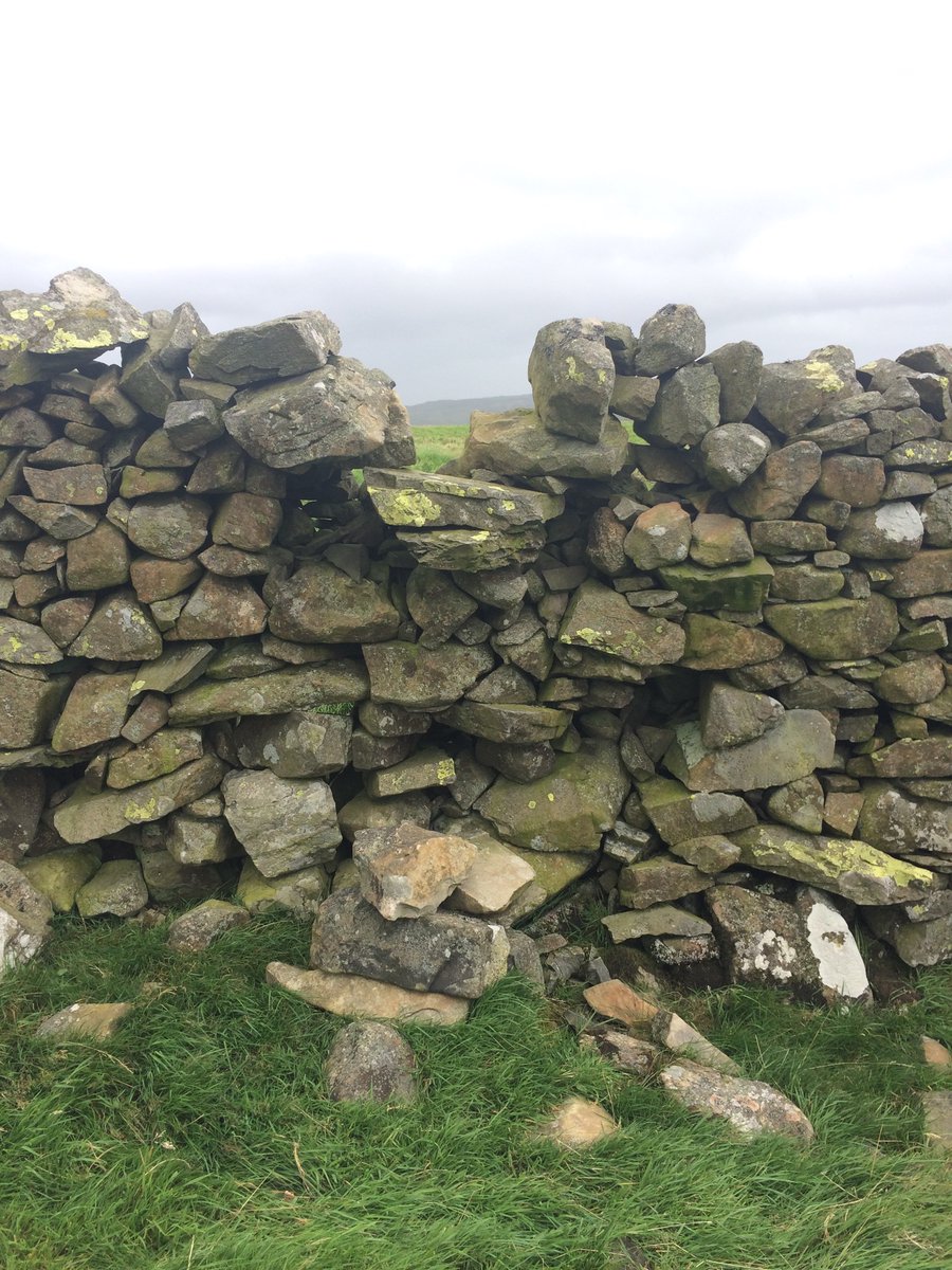 TLWforCumbria's tweet photo. Perfect time for a local #WalkInWinter weekend &amp; a chance to photograph your entry to the 2020 #StileCup 

If you can't access a stile, I can help with a gift one!

(NB once gifted, I'm not responsible for any dizzy spells, obsession, conniptions or discombobulation they cause). https://t.co/SlhxYMnXwP