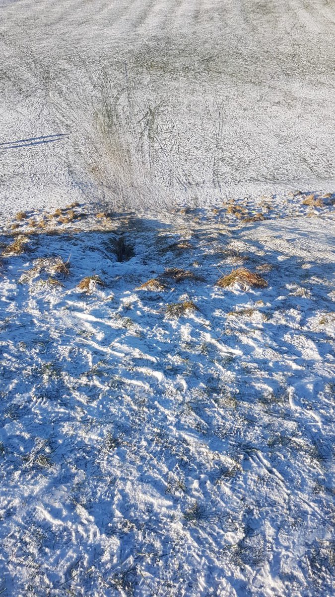 NetherJohnstone's tweet photo. What better way to enjoy the lockdown on a winters day! ❄️😁 #newadventurestogether #sledgingfun Turns out we might need some more sledges 😬🤣 #StaySafe https://t.co/8QdN18SzHf