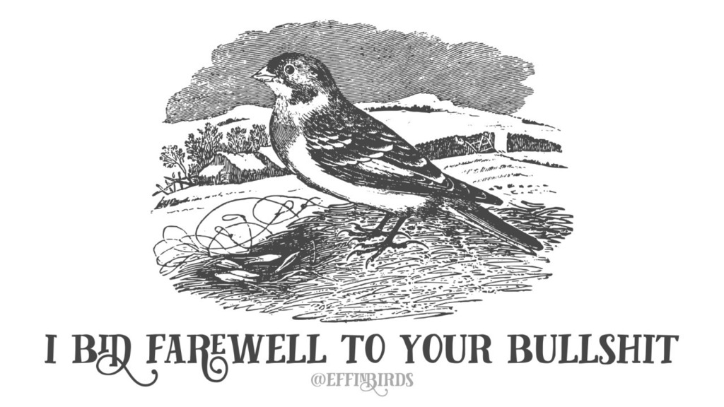Effin' Birds (@effinbirds) on Twitter photo 