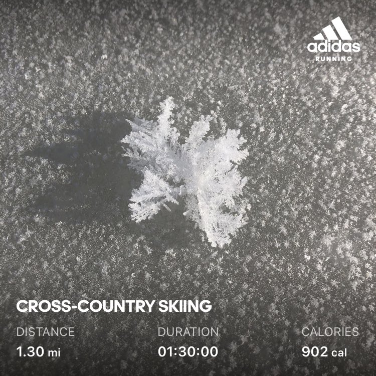 SingleSpeedMag's tweet image. 