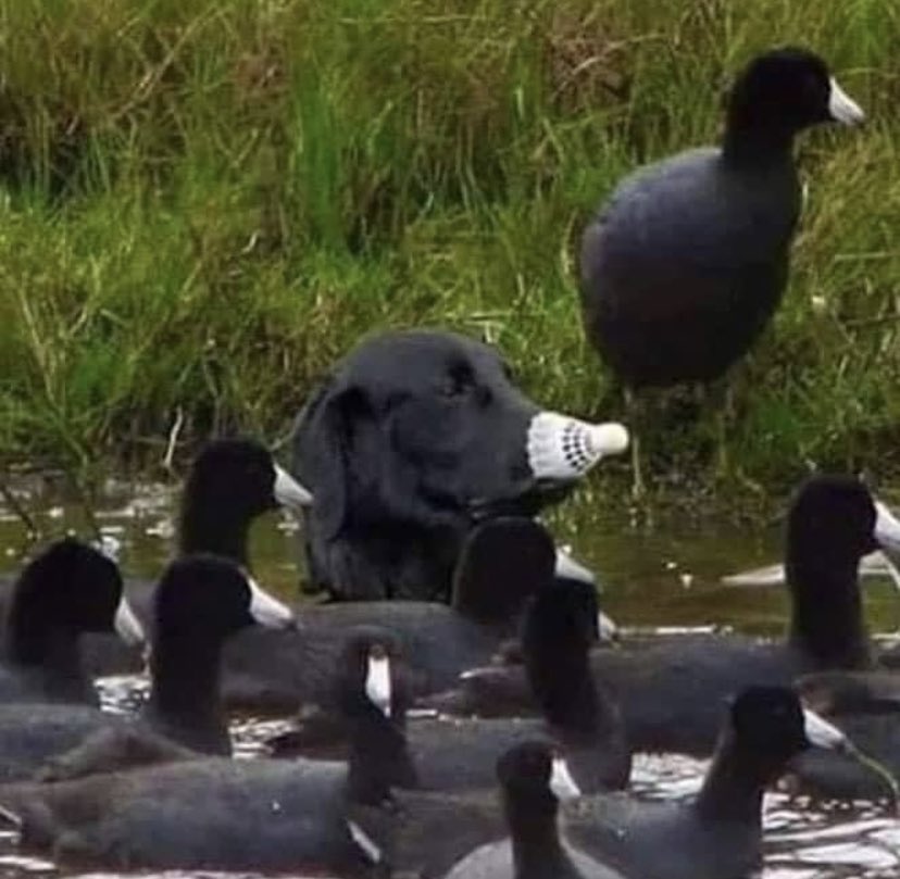 Tim Vine tweet media