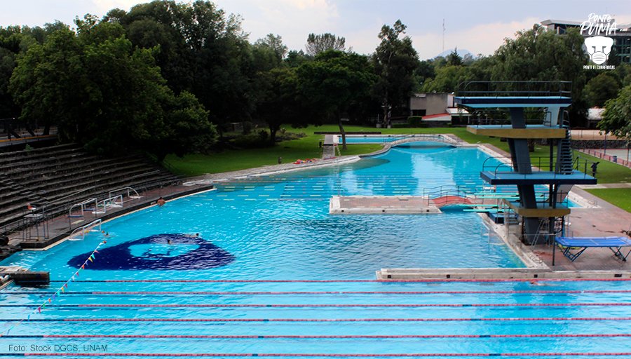 Gaceta_UNAM's tweet photo. Un símbolo del deporte universitario. ¿Sueles presumir entre tus amigos que tu universidad cuenta con una alberca olímpica?👇
 #PontePumaPonte😷 https://t.co/8xkcafch4q