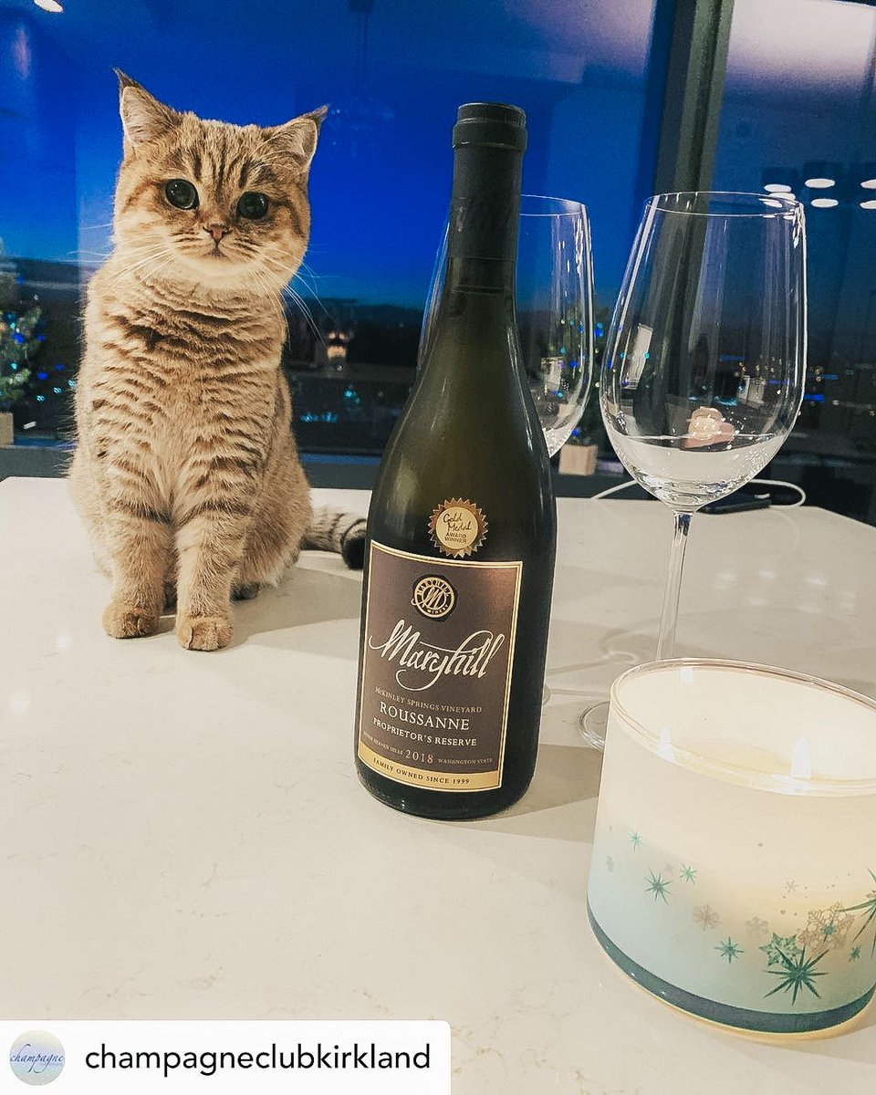 I think 2021 should be filled with much more Woodinville wine (@maryhillwinery) and pictures of cats... Maybe that will get us off on the right foot. 🍷 🐱