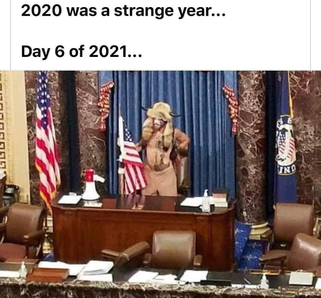 Verčamucq (@verunkaschrei) on Twitter photo 