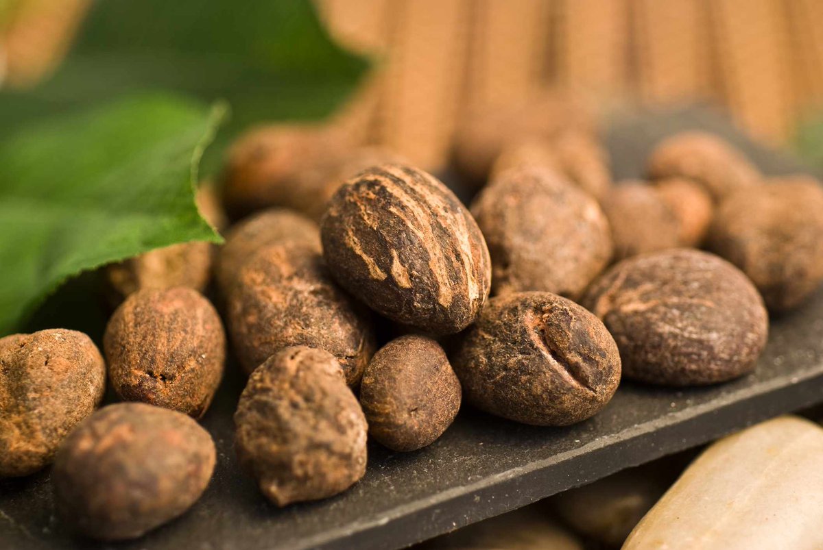 SwatEunice's tweet photo. SHEA BUTTER IS NOT ANIMAL FAT!
Shea butter is the fat extracted from the Shea tree nuts/kernel 

Unrefined as VICTORY’S SHEA BUTTER has no additional chemicals or preservatives added, making it retain all its properties.
 
LOCATION: Kaduna/Abuja

Price: #500 https://t.co/3DM2u0nxpL