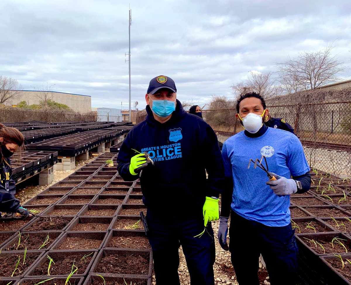MichonMegan's tweet photo. #GHPAL Kingwood and Eastside Officers working together with the #HPDNortheastDRT Officers planting hundreds of Onions with #TargetHunger, a local food pantry that provides food for families in need! 🧅 🥕🍎🍊 #WorkingTogether #RelationalPolicing #Community #2021 #TeamWork https://t.co/6gksvFEFGD