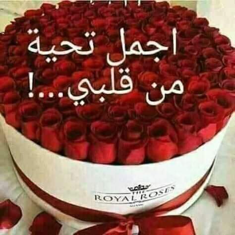 Youssef boudarga (@youssefboudarga) on Twitter photo 