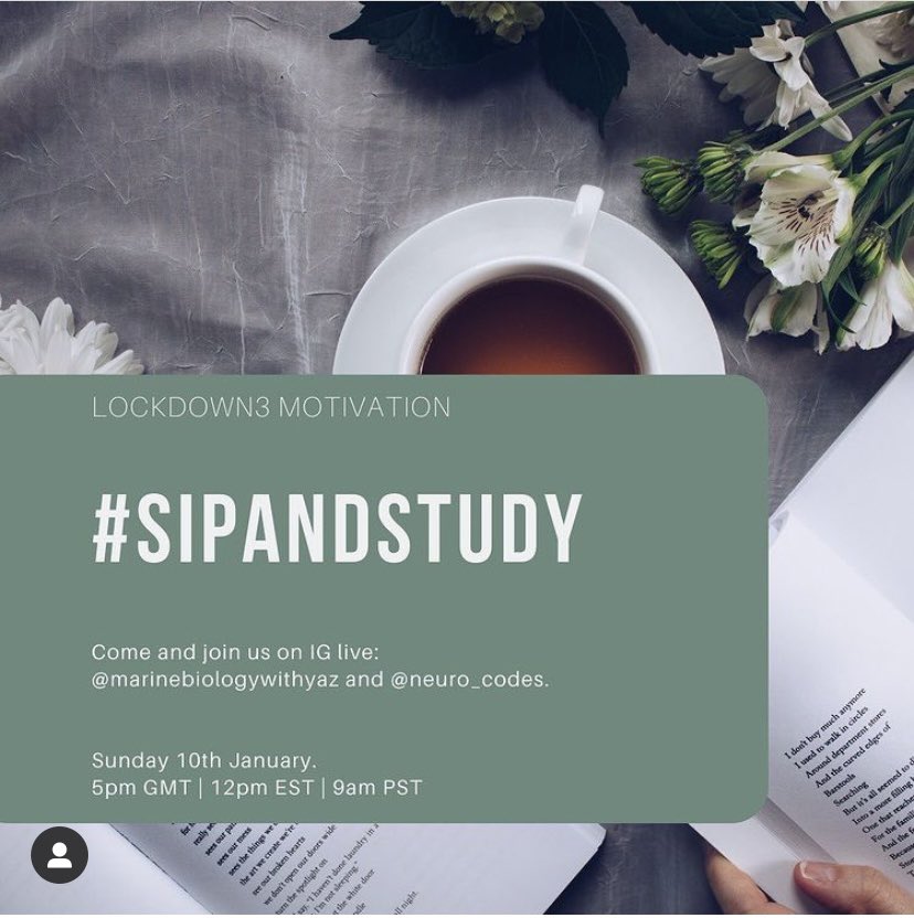 MBAPhDGang's tweet photo. Been feeling unmotivated this week? Plans on Sunday?! Join @Marinebioyaz  and neuro_codes on @instagram live at 5pm GMT, 12PM EST 9AM PST son Sunday 10th for a #SipAndStudy sesh and get that work done! #PhDchat #AcademicTwitter #phdlife #Lockdown3uk https://t.co/Mk1mY00Z1p
