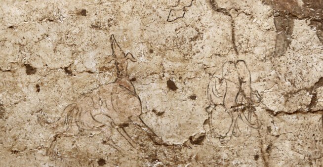 Masterpiece of mural art just disclosed by archaeologists: A Sogdian groom is struggling to tame a wild horse, one hand holding the reins, the other brandishing a whip. 2 dogs stand by, one startled, the other heedless. It's from the tomb of a 7th-c Sogdian equestrian supervisor.