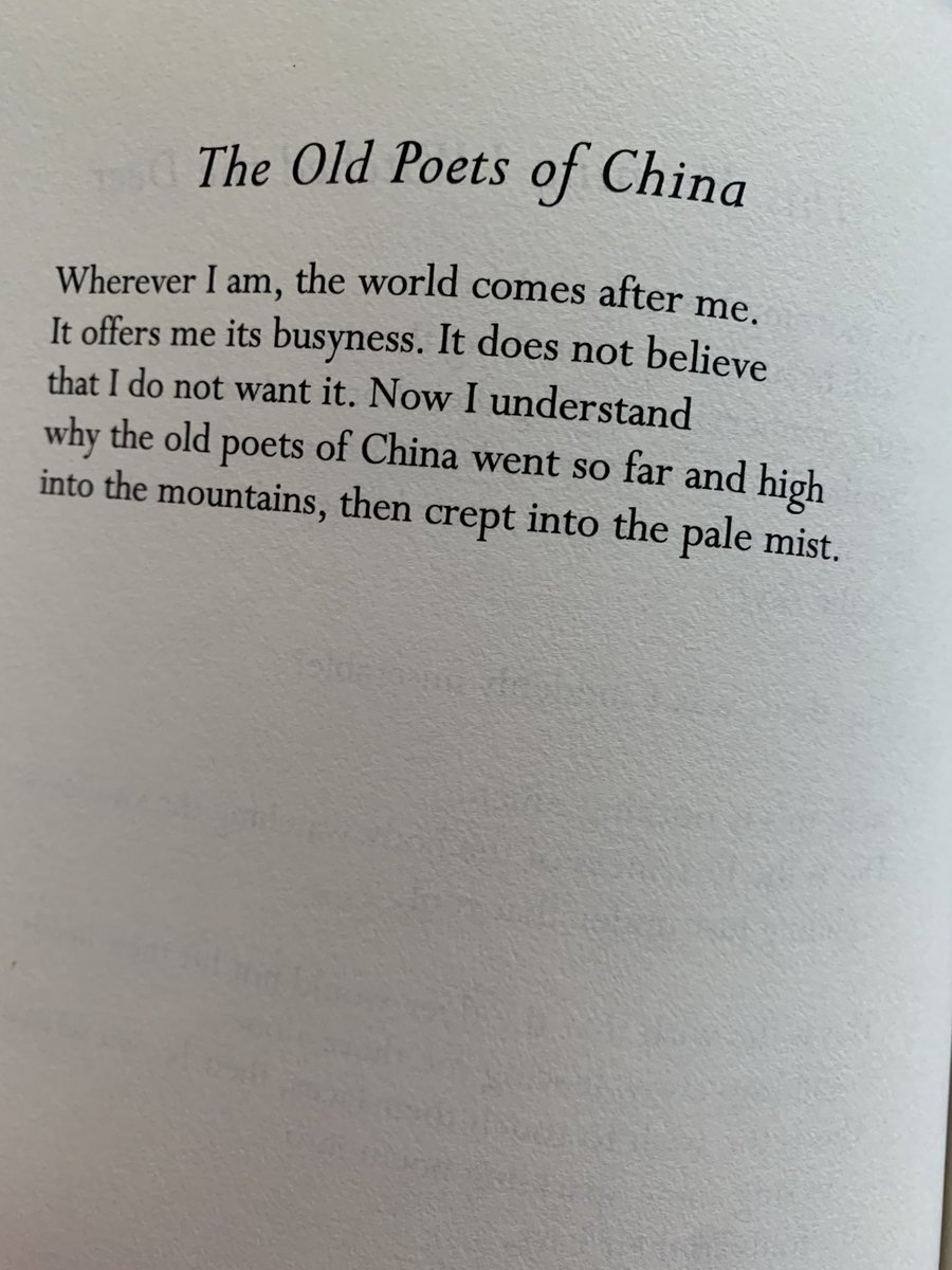 Elizabeth Gross tweet media