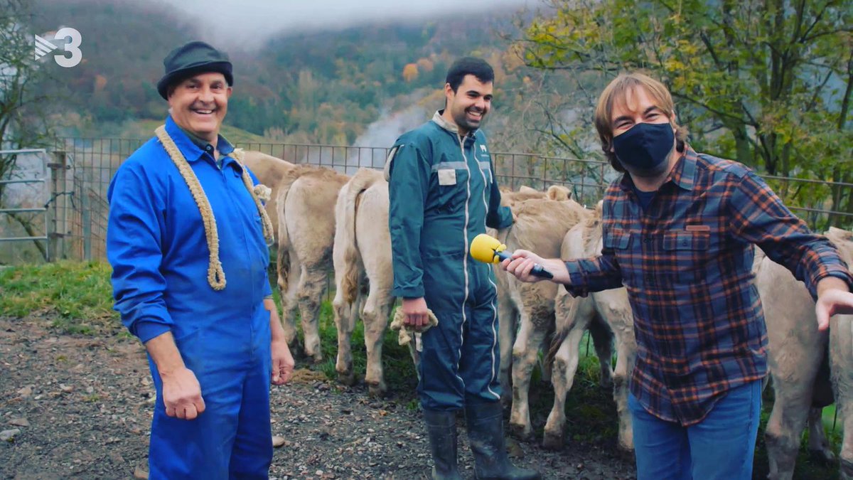 TransProCat tweet media