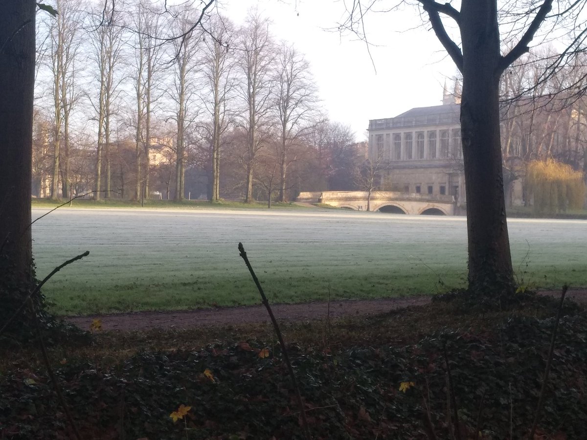 Jayani Patel tweet media