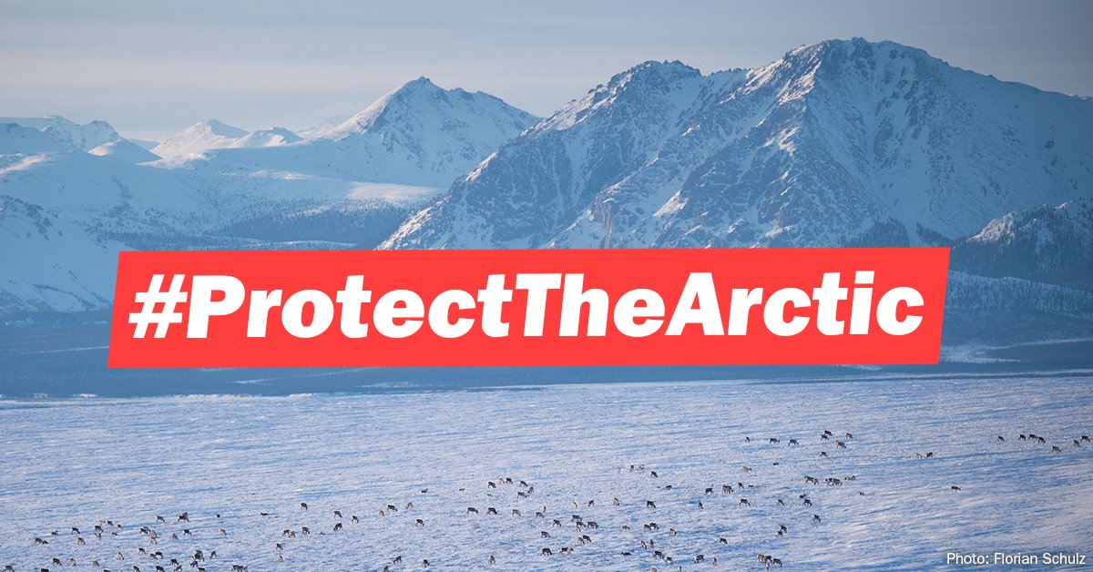 We’ll never stop working to protect the Arctic Refuge and all public lands that make exploration possible. 
Help us support <a href="/OurArcticRefuge/">Gwich’in Steering Committee</a> &amp; @AlaskaWild in stopping attempts to drill for oil and gas in the Arctic Refuge. RT to #ProtectTheArctic 🌎