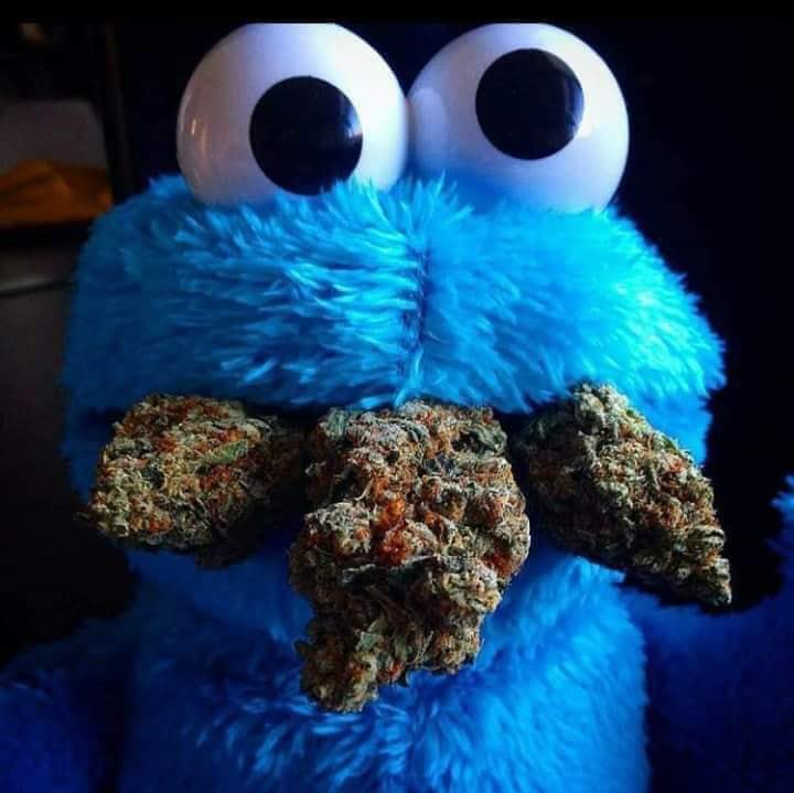 ohio_med's tweet photo. Look who’s ready for the weekend!
#medicalmarijuana #cannabisculture #cannabidiol #ohiomed #marijuanacard https://t.co/gCEDpdPBPZ