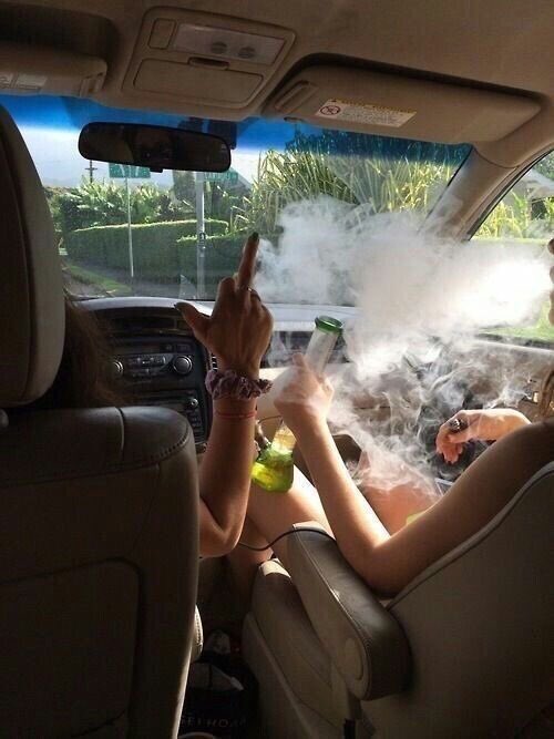 SpliffMeister's tweet photo. these my type of friends 🍁 💨 https://t.co/4rDVAdUr4n