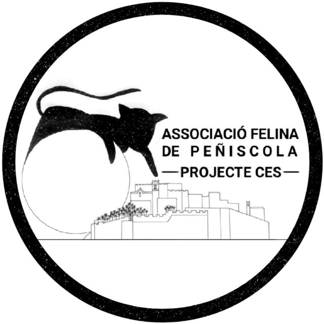 Associació Felina de Peñíscola Projecte CES: 
  …ociaciofelinadepeniscola.blogspot.com/2021/01/blog-p…