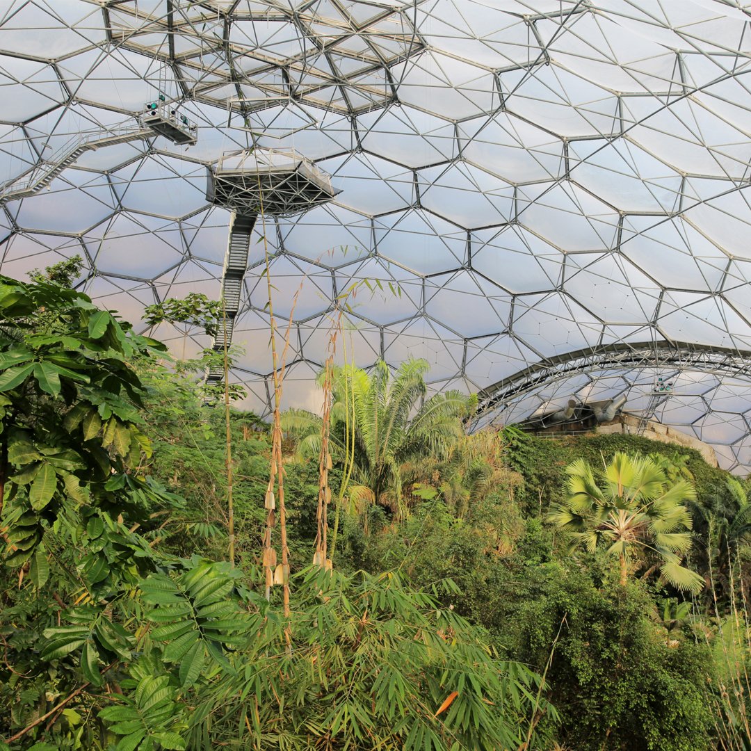 Eden Project tweet media