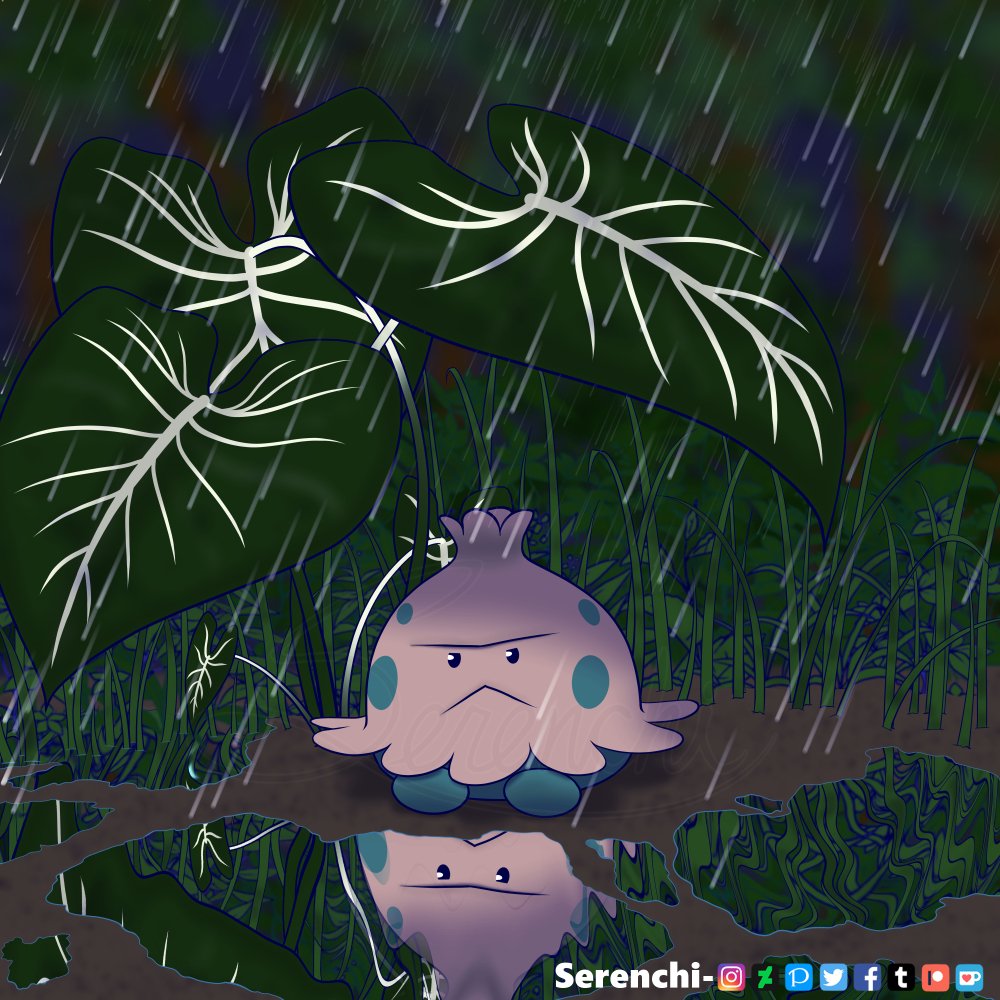 キノココ Twitter Search