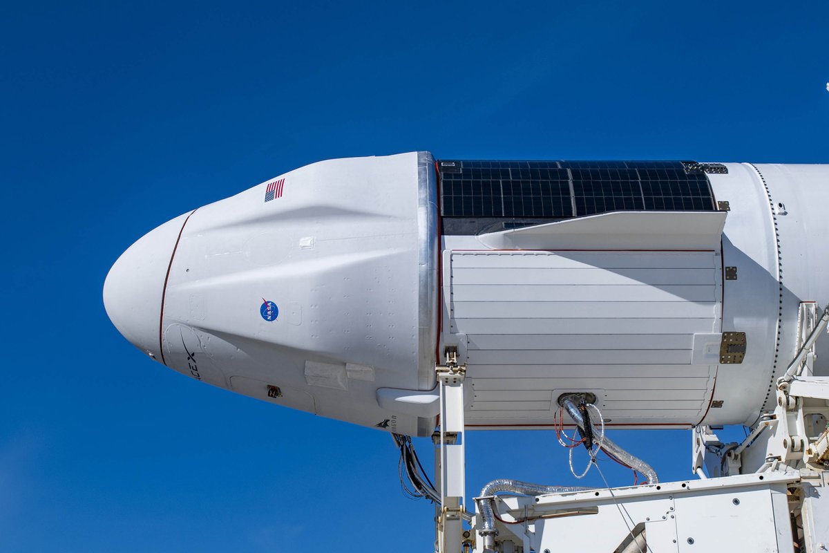 NASAScience_'s tweet photo. By capsule, helicopter, boat, plane, and car, @Space_Station science experiments are about to make a first of a kind journey back to researchers on Earth!
Here’s what will happen when the Dragon capsule splashes down next week: https://t.co/TuhkkyvrPo https://t.co/Fc4QfyI3bf