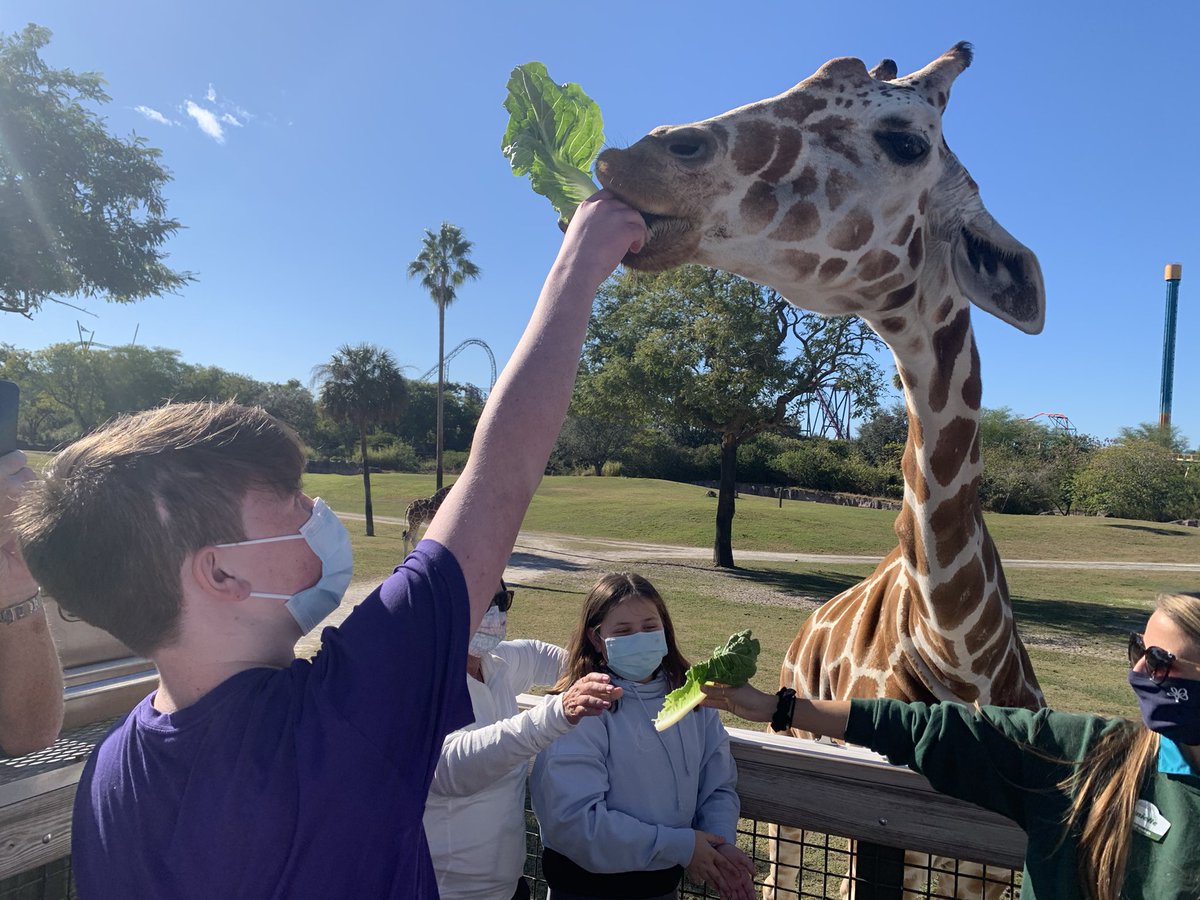 Earle McWright tweet media