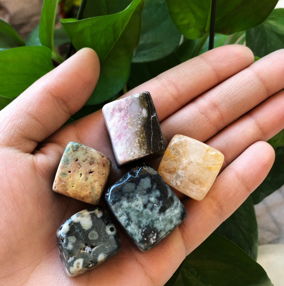 TerraHurt's tweet photo. FIRST SHOP UPDATE OF 2021 🧚🏽
3 different crystals available + a restock on howlite 🙈 https://t.co/aBsFjwlmyP