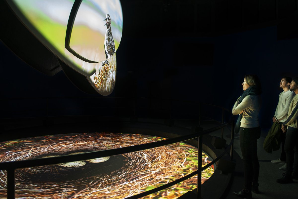 ElectrosonicAV's tweet image. Earlier this week we explored 13 of the greatest #FlyingTheater experiences in the world. 🚁🛬🪂 
Today we explore our specific involvement in one of those experiences. Pursuit Collection's #FlyOverIceland. 
youtube.com/watch?v=S_7S9A…