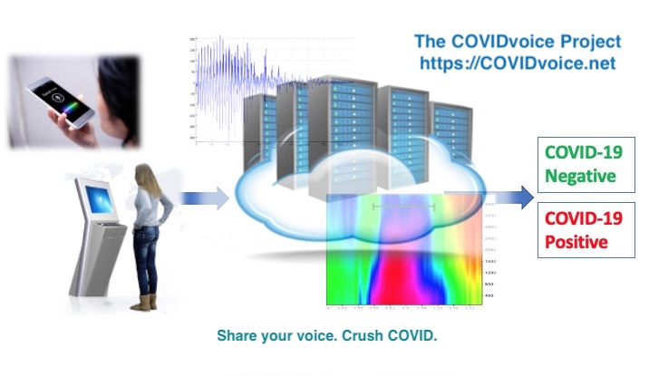 COVIDvoiceProj's tweet photo. And now let's return our collective attention to saving lives!

Please visit the COVIDvoice Project to share your voice sample, help build the voice-based COVID screening tool, and Crush COVID.

https://t.co/NNe9EF91dk. It only takes 30 seconds to help save lives!

#COVIDvoice https://t.co/hGlVjzM8ty