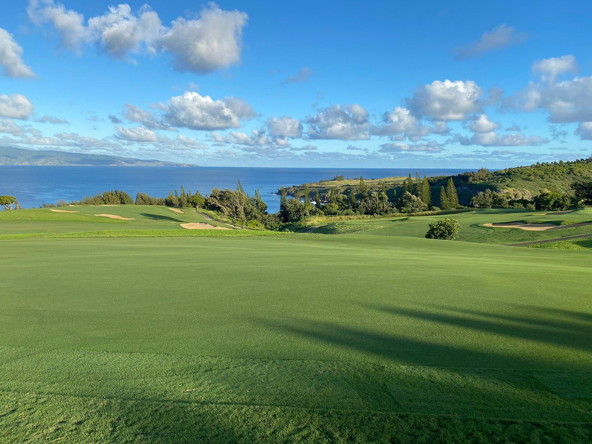 That Friday feeling in paradise 😍

<a href="/GolfatKapalua/">Kapalua Golf</a> | @Sentry_TOC