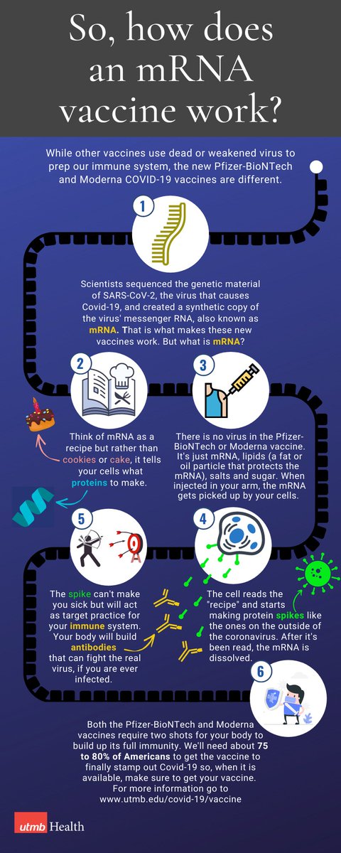 With today's news that UTMB scientists have found the Pfizer-BioNTech COVID-19 vaccine protects against the new, more transmissible strain of the virus, we thought we'd share our infographic explaining how these mRNA vaccines work.