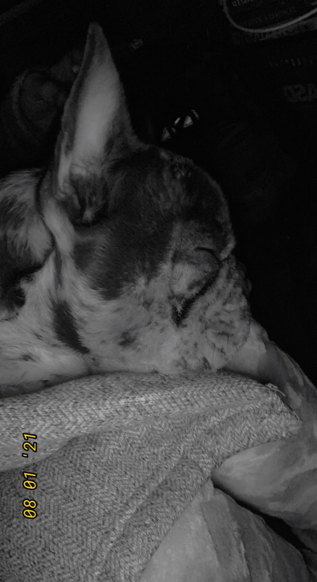 BabyBoyNoNameY1's tweet photo. Goodnight 💤💙😍 #cuteboss #GoodNightTwitterWorld 😴 🌎 https://t.co/EesyB5OCr6