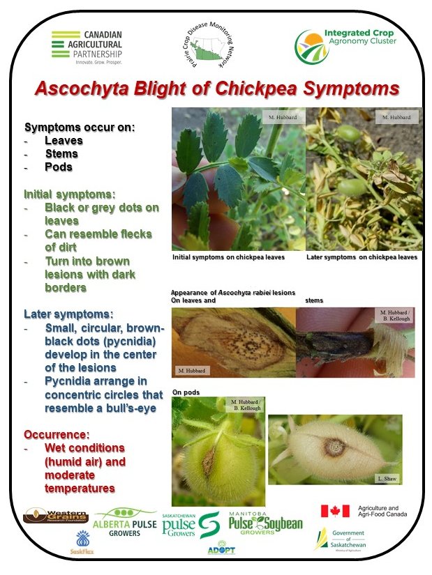 The PCDMN blog also has a variety of information related to disease identification and crop scouting for disease issues. This information can be found at:  https://prairiecropdisease.blogspot.com/p/scouting-tips-calendar.html. Here are some examples of the info available: