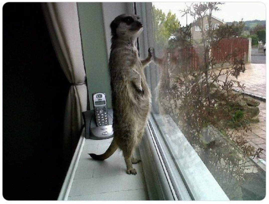 Yo mirando por la ventana por si nieva en Reus