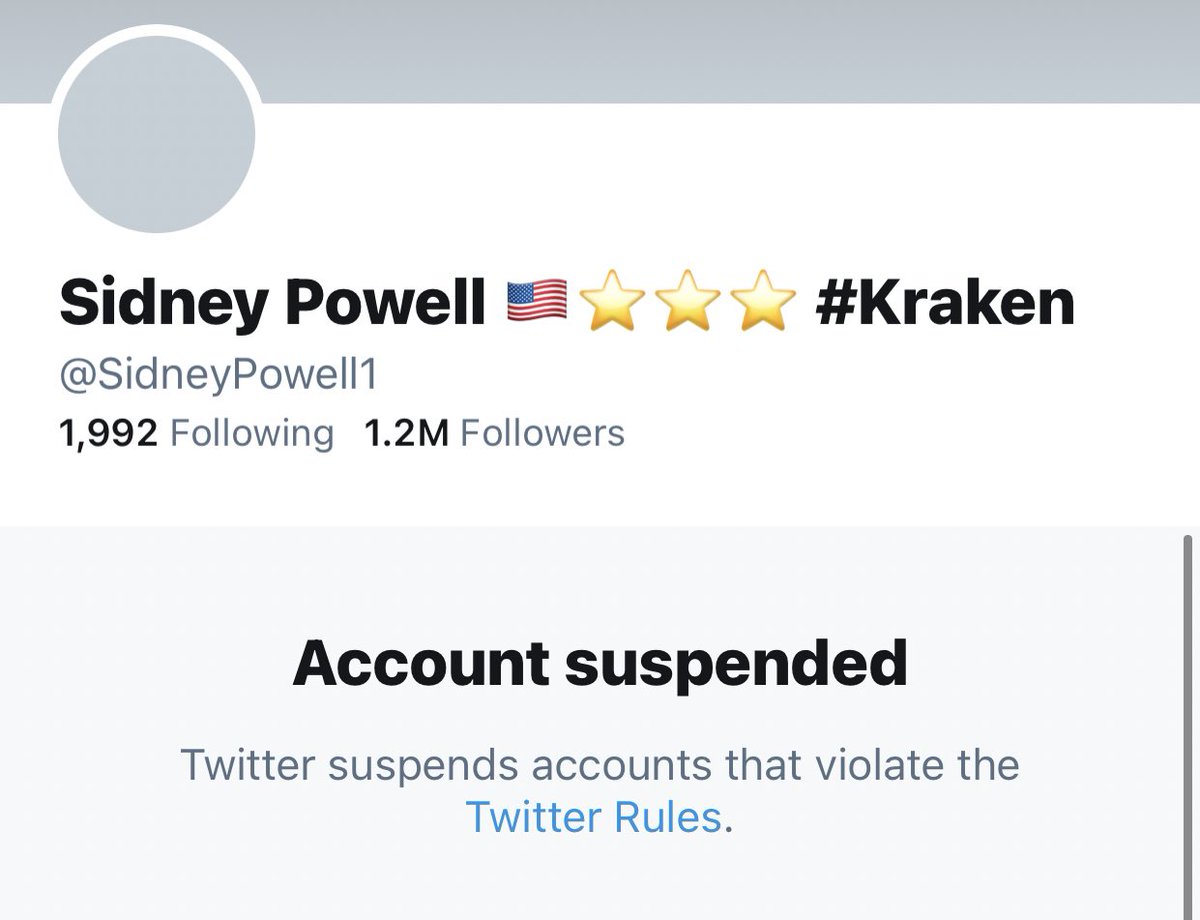 General Flynn and Sidney Powell’s Twitter accounts have been permanently su...
