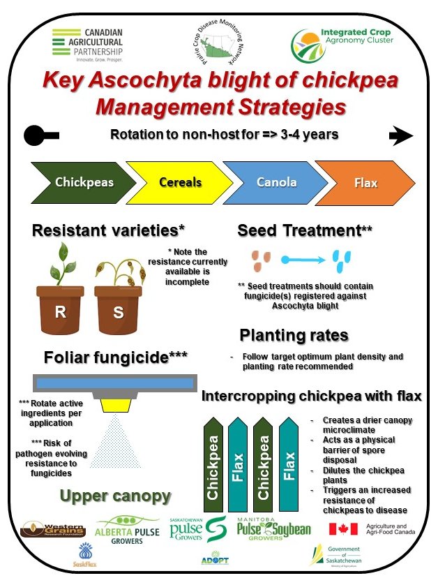 The PCDMN blog also has a variety of information related to disease identification and crop scouting for disease issues. This information can be found at:  https://prairiecropdisease.blogspot.com/p/scouting-tips-calendar.html. Here are some examples of the info available: